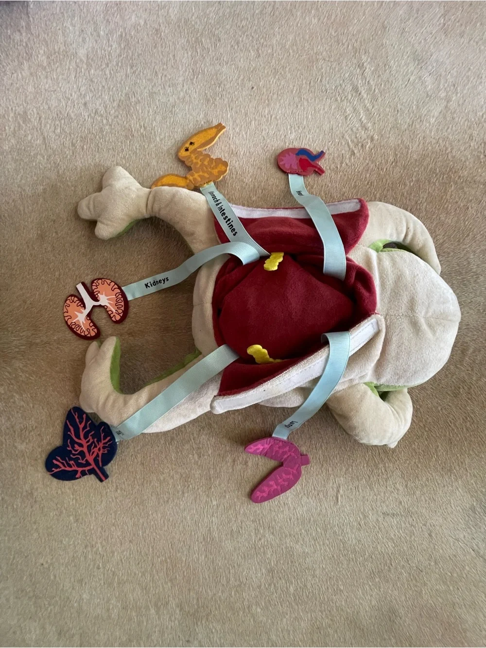 Frog Dissection Plush